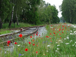 Museum Buurtspoorweg